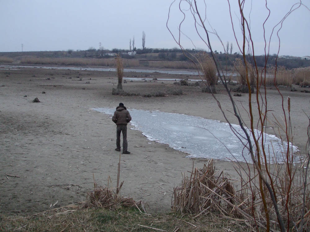 TANCABESTI SECAT - DSCF3450.jpg